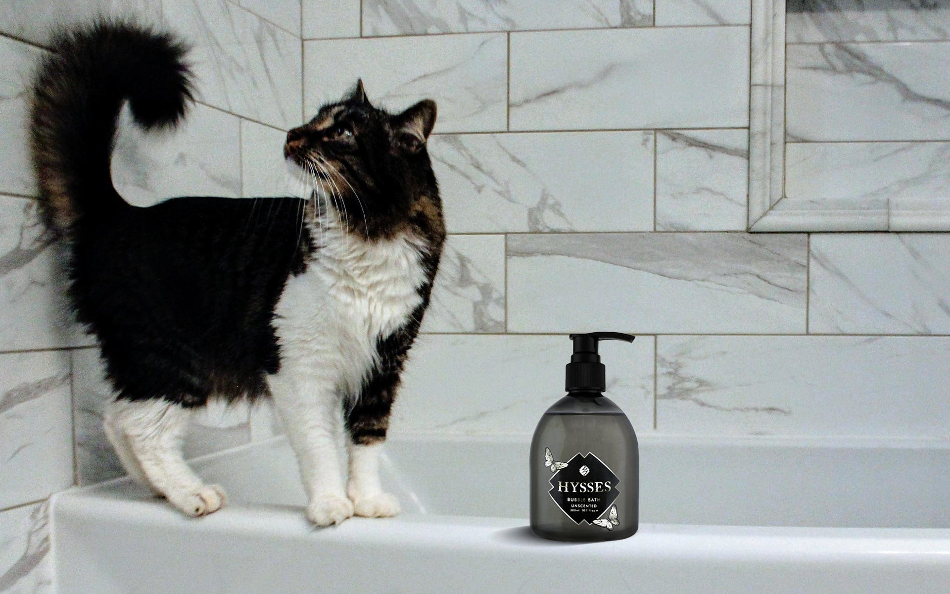 Natural Pet Grooming at Home: Easy DIY Recipes You Can Trust