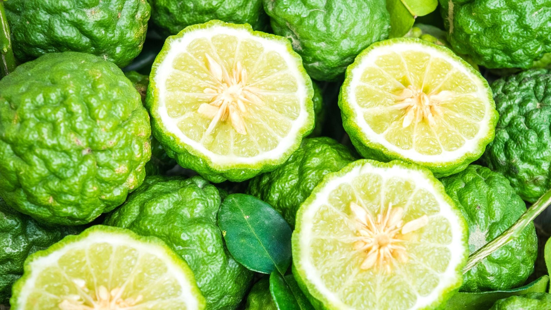 Bergamot Benefits & Uses