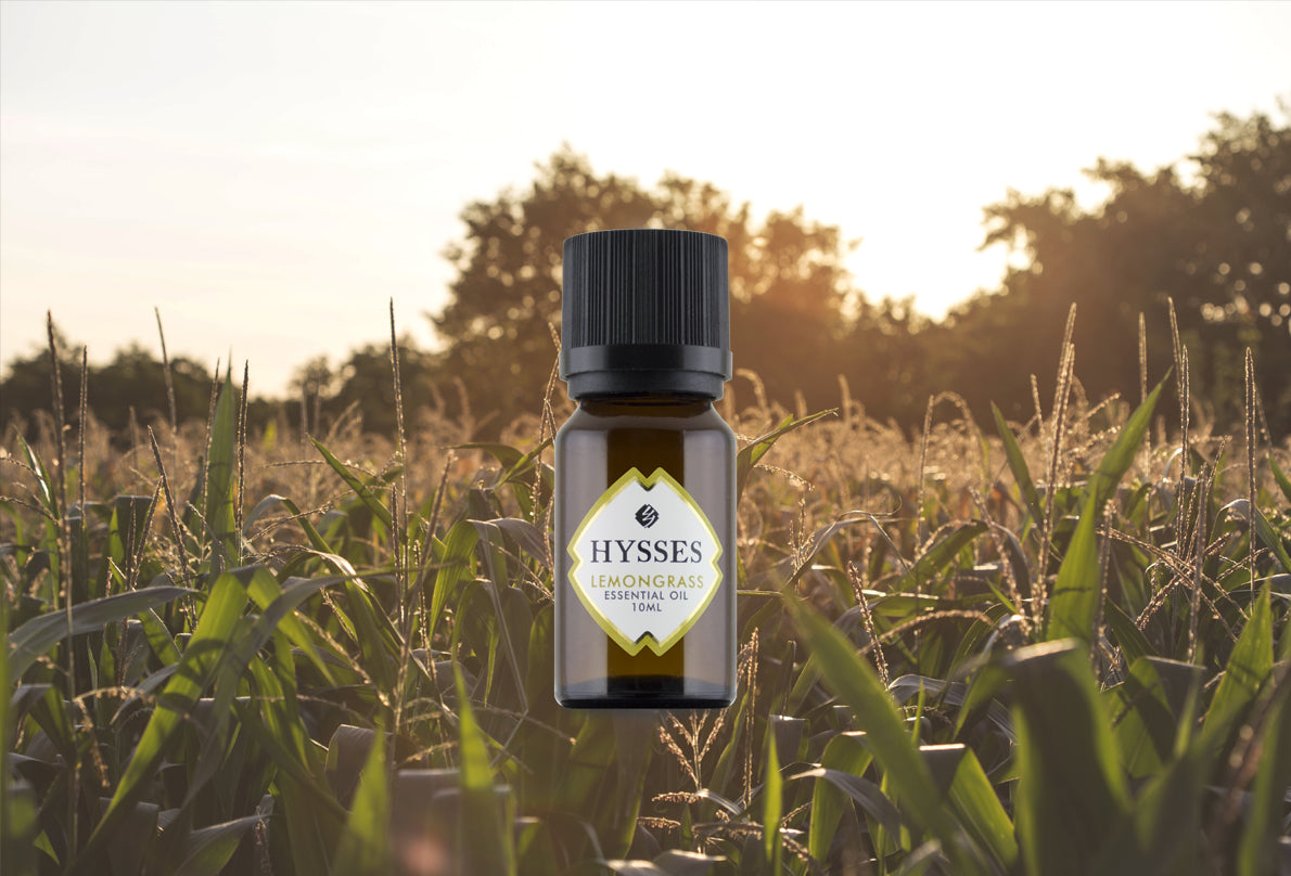 Unveil the Benefits and Uses of Lemongrass Essential Oil