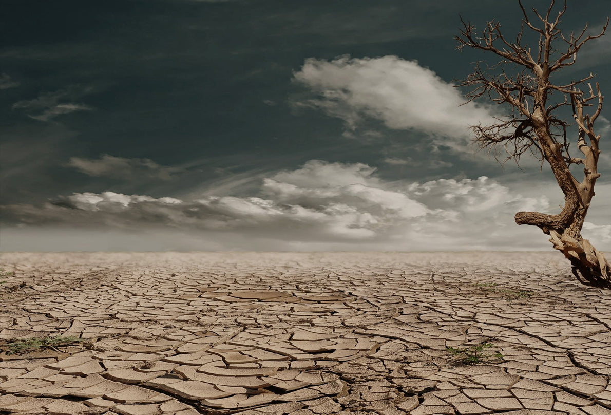 What Should I Do When My Skin is Dry?