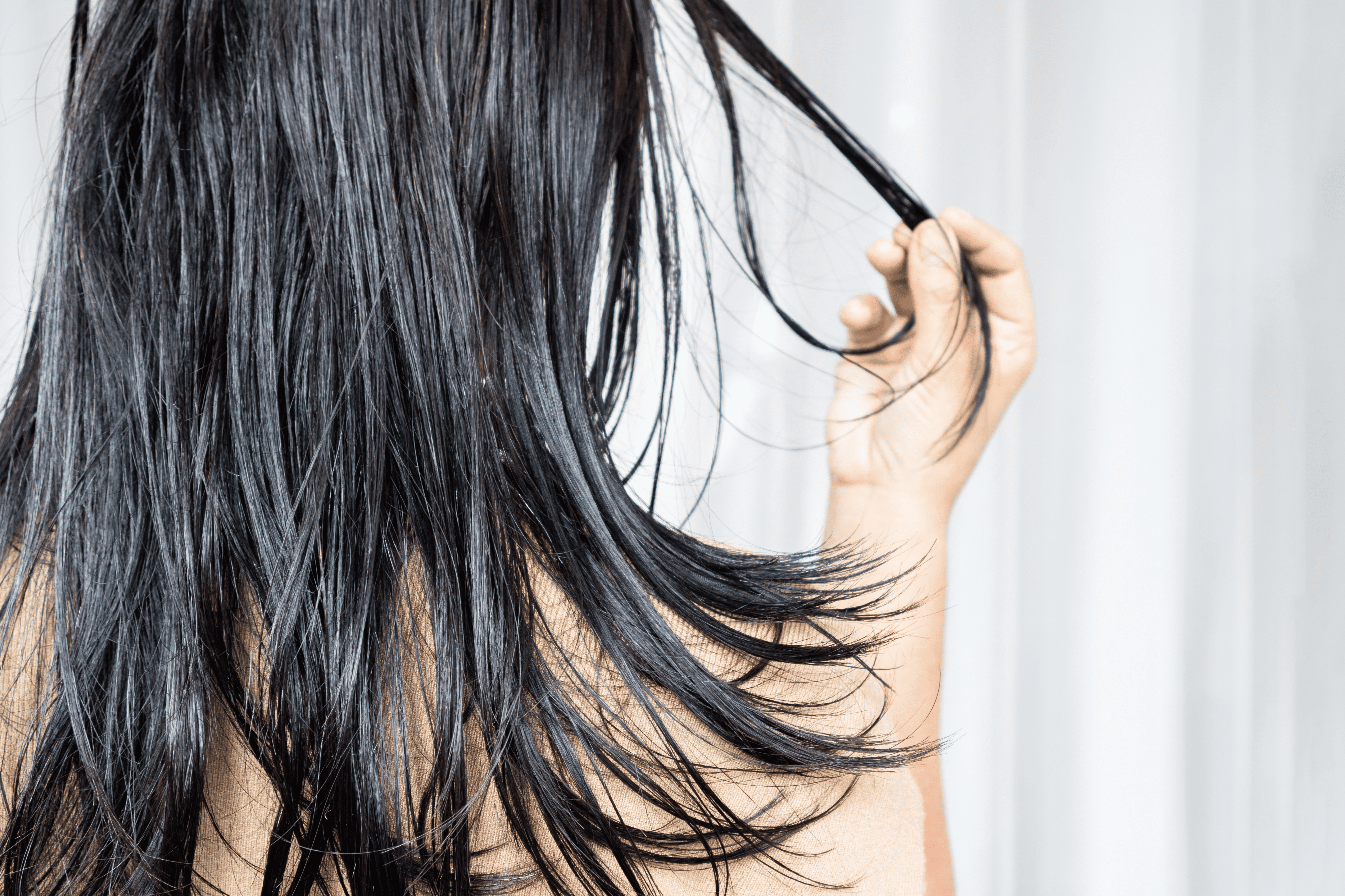 Oily Hair