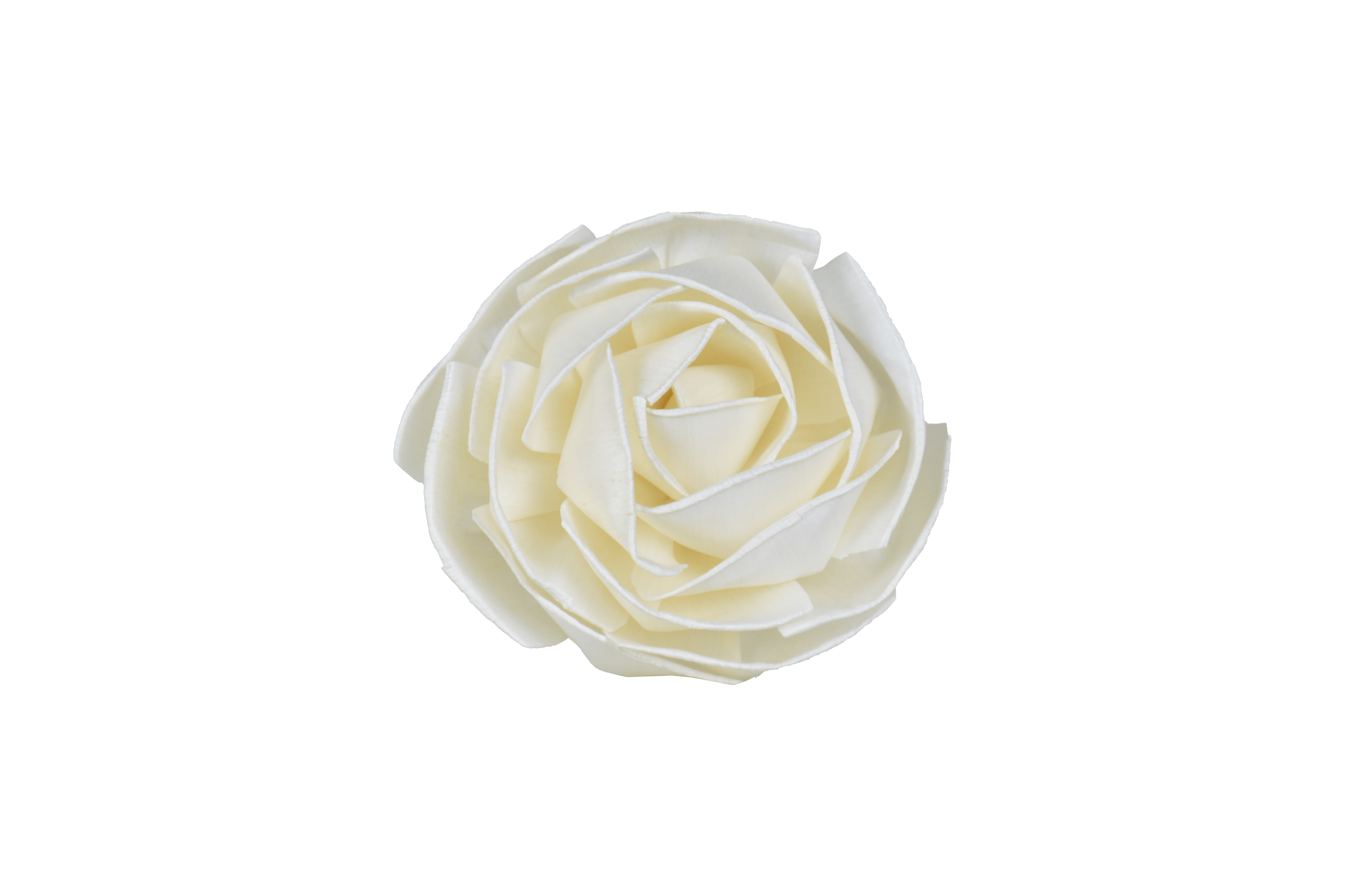 Hysses Singapore Home & Scent Big Bloom Solar Diffuser, Lemon Geranium (Red)