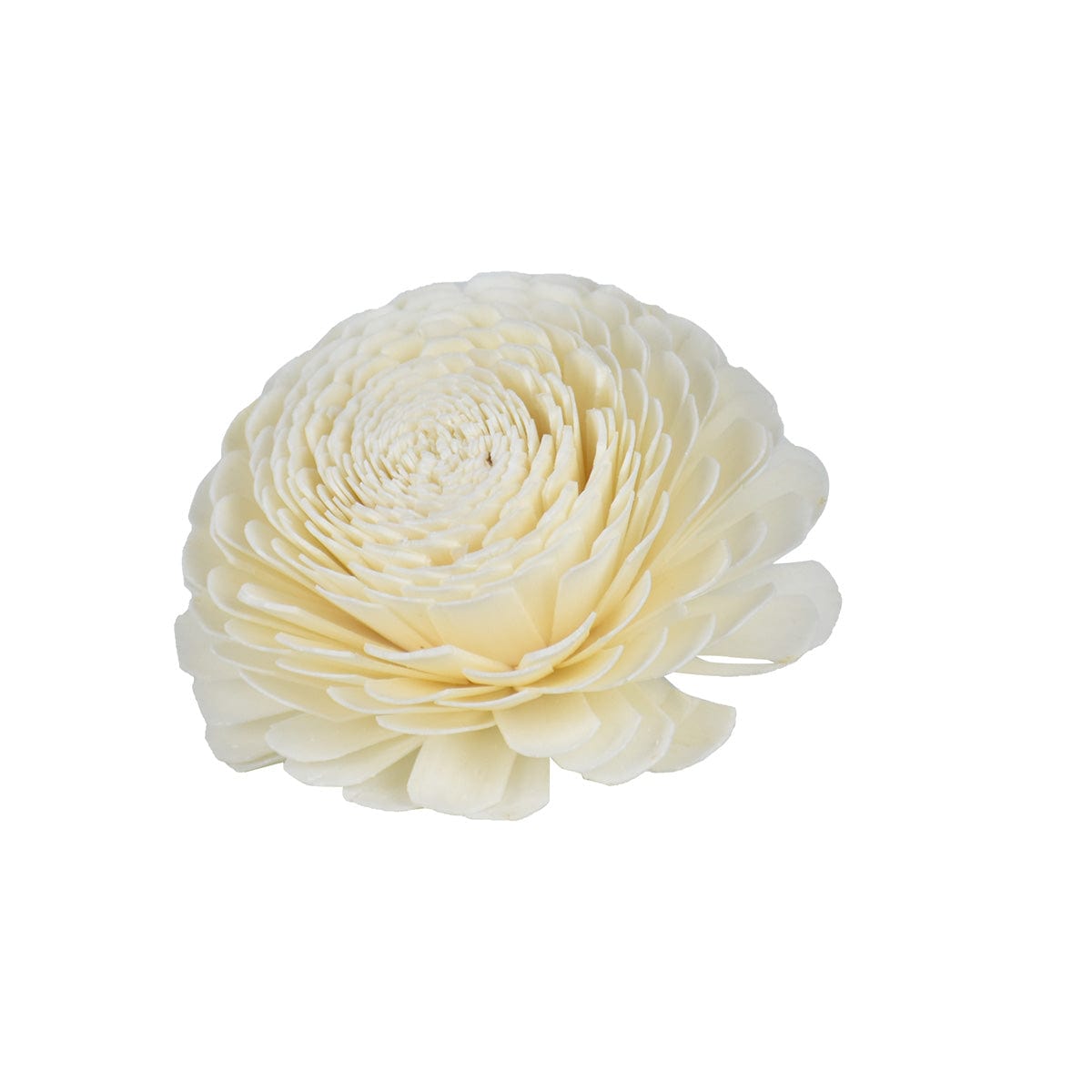 Hysses Singapore Home & Scent Solar Flower Diffuser Refill - Chrysanthemum Big Bloom