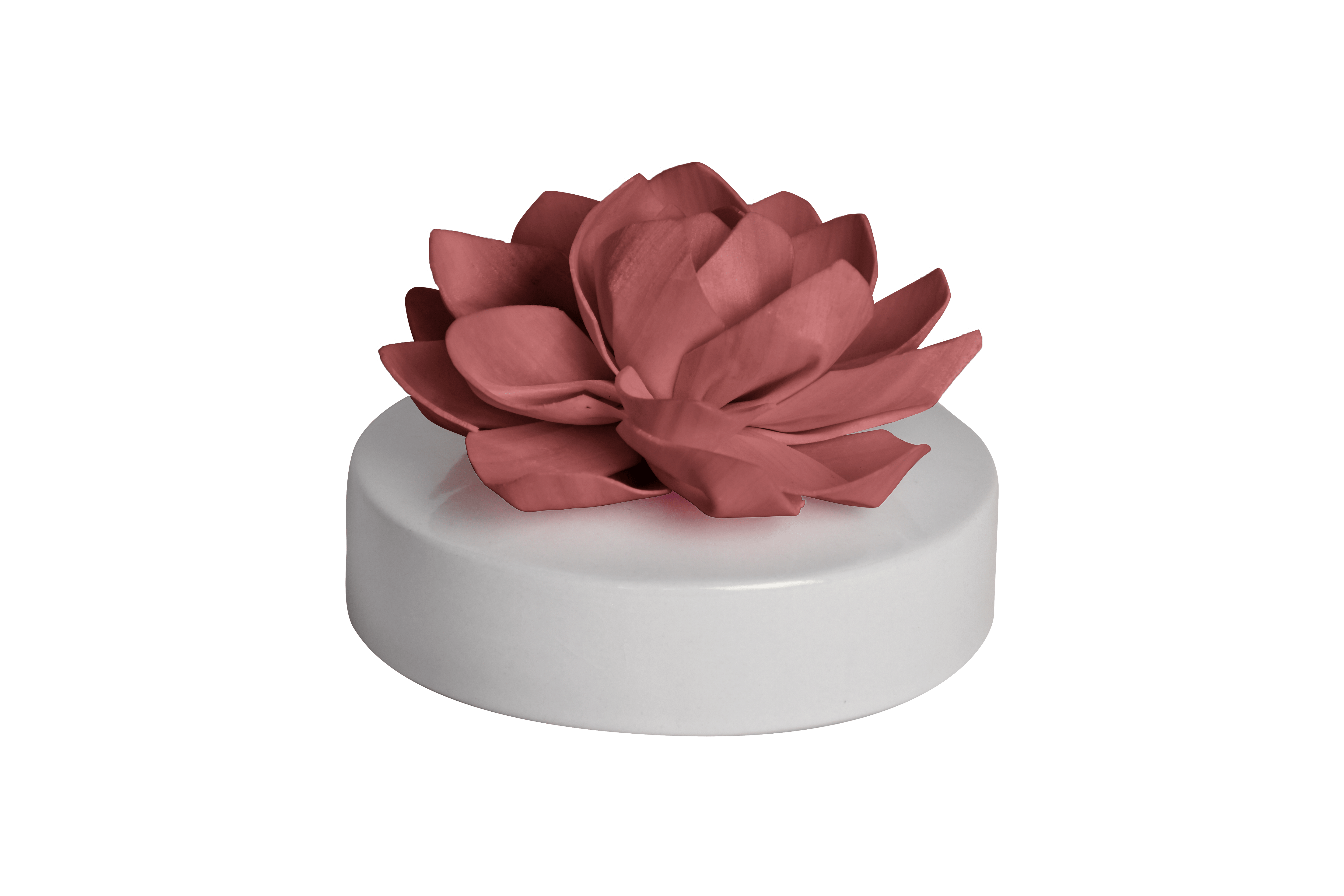 Hysses Singapore Home Scents Big Bloom Solar Diffuser, Palmarosa Jasmine (Maroon Pink) R