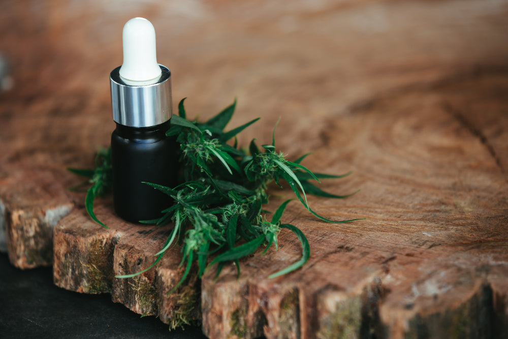How to Find Legit and Pure Essential Oils in Singapore