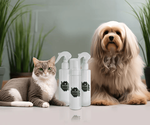 DIY Pet-Safe Home Remedies: Clean, Calm, and Care Naturally