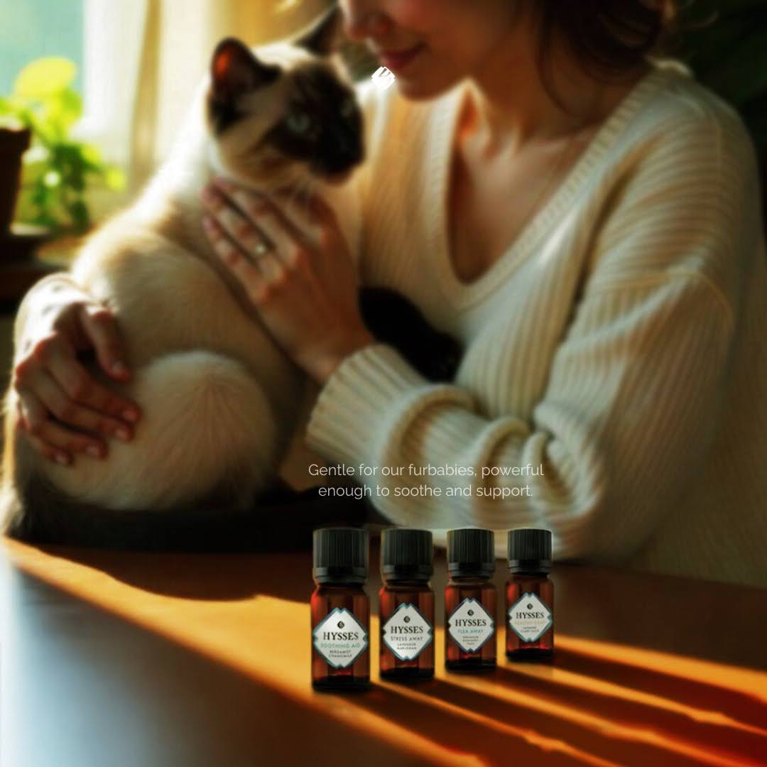 FurryCare Grooming Essentials