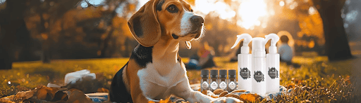 How Natural Aromatherapy Can Transform Your Pet’s Grooming Routine