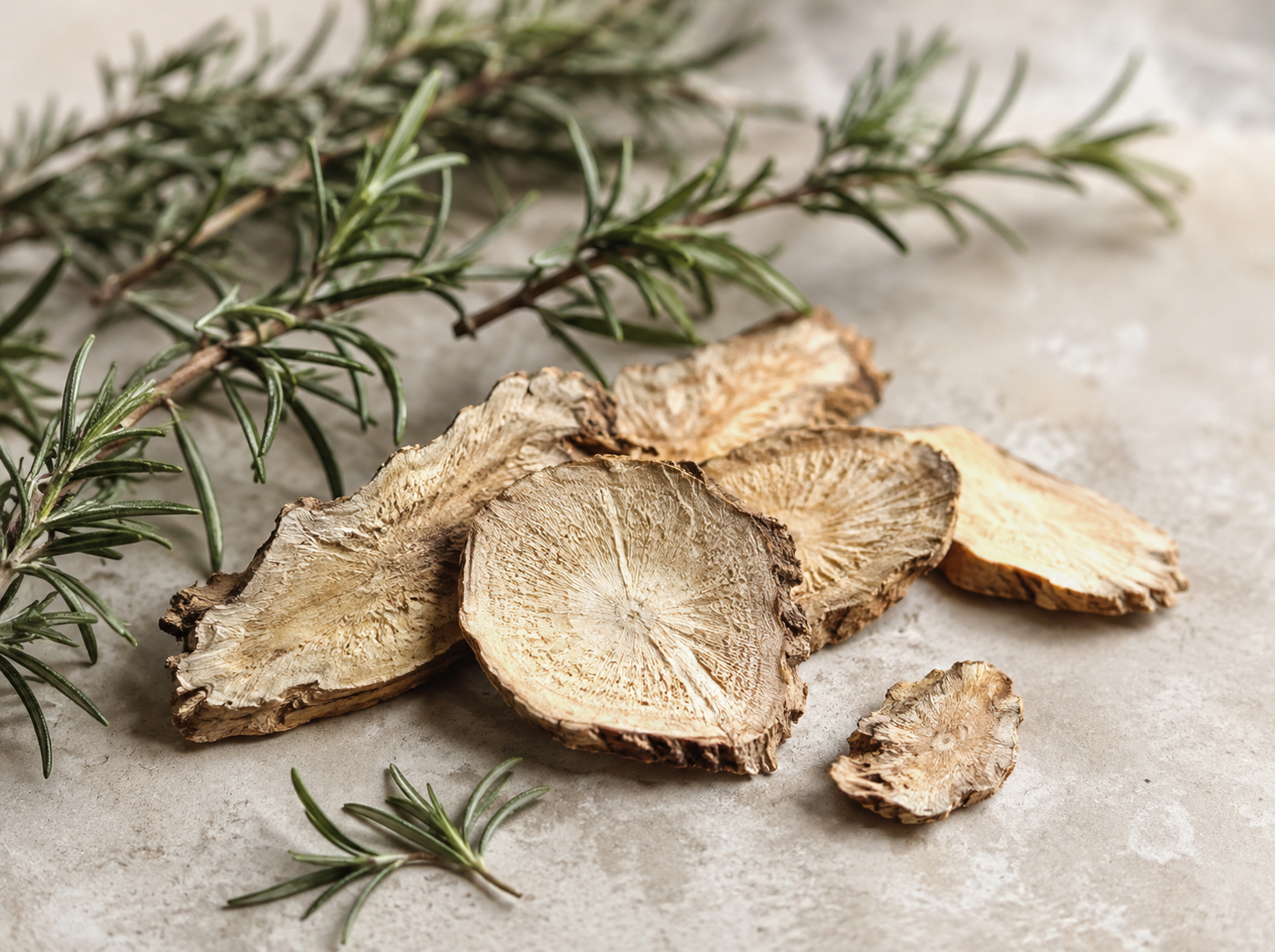Rosemary Angelica