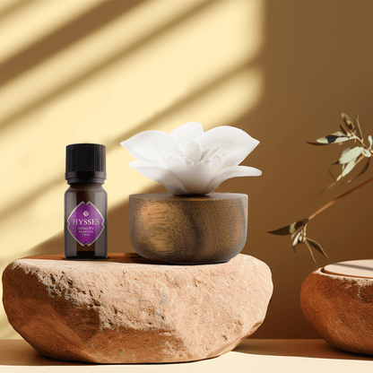 Hysses Official Gifts Orchid Whisper