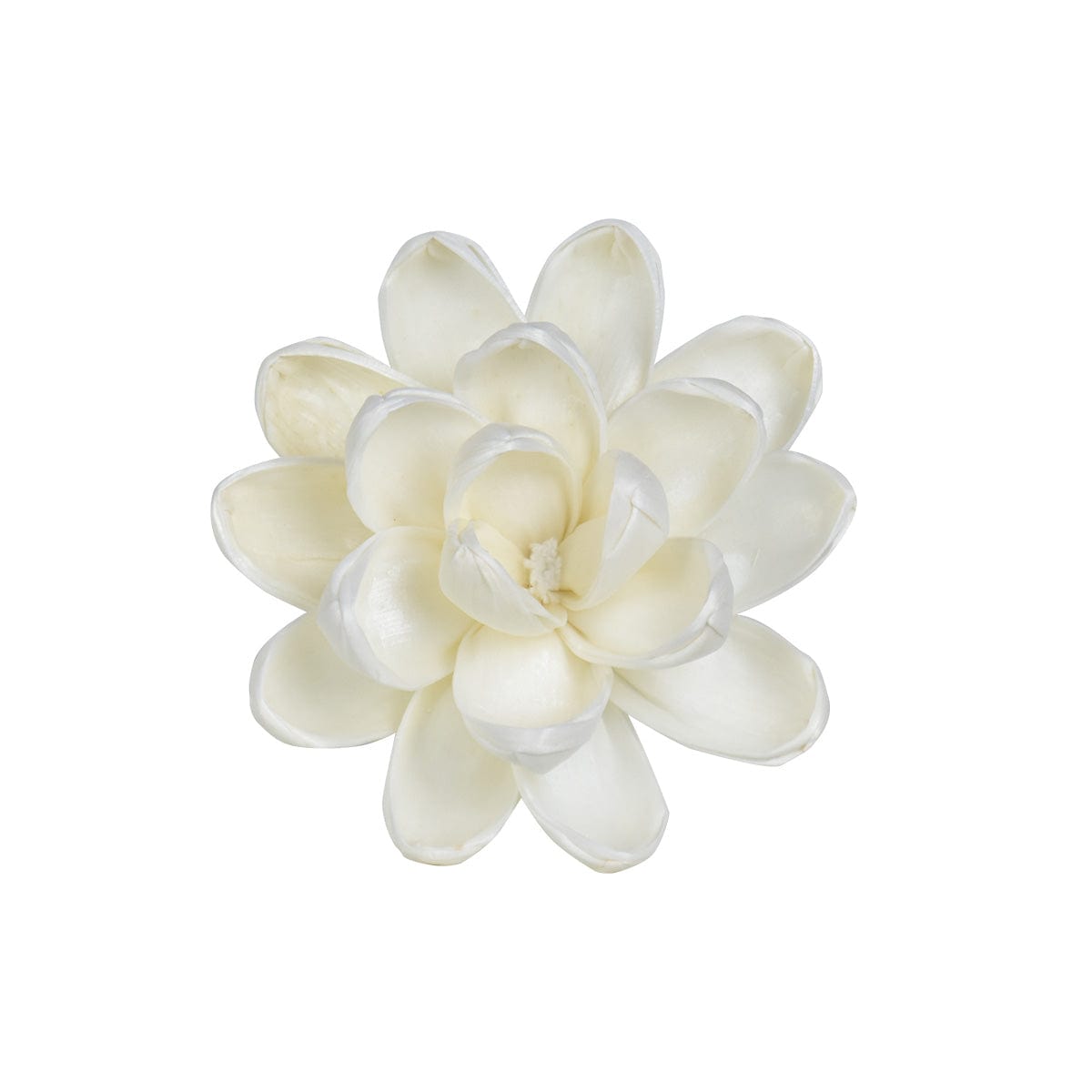 Hysses Singapore Home & Scent Solar Flower Diffuser Refill - Olive Big Bloom