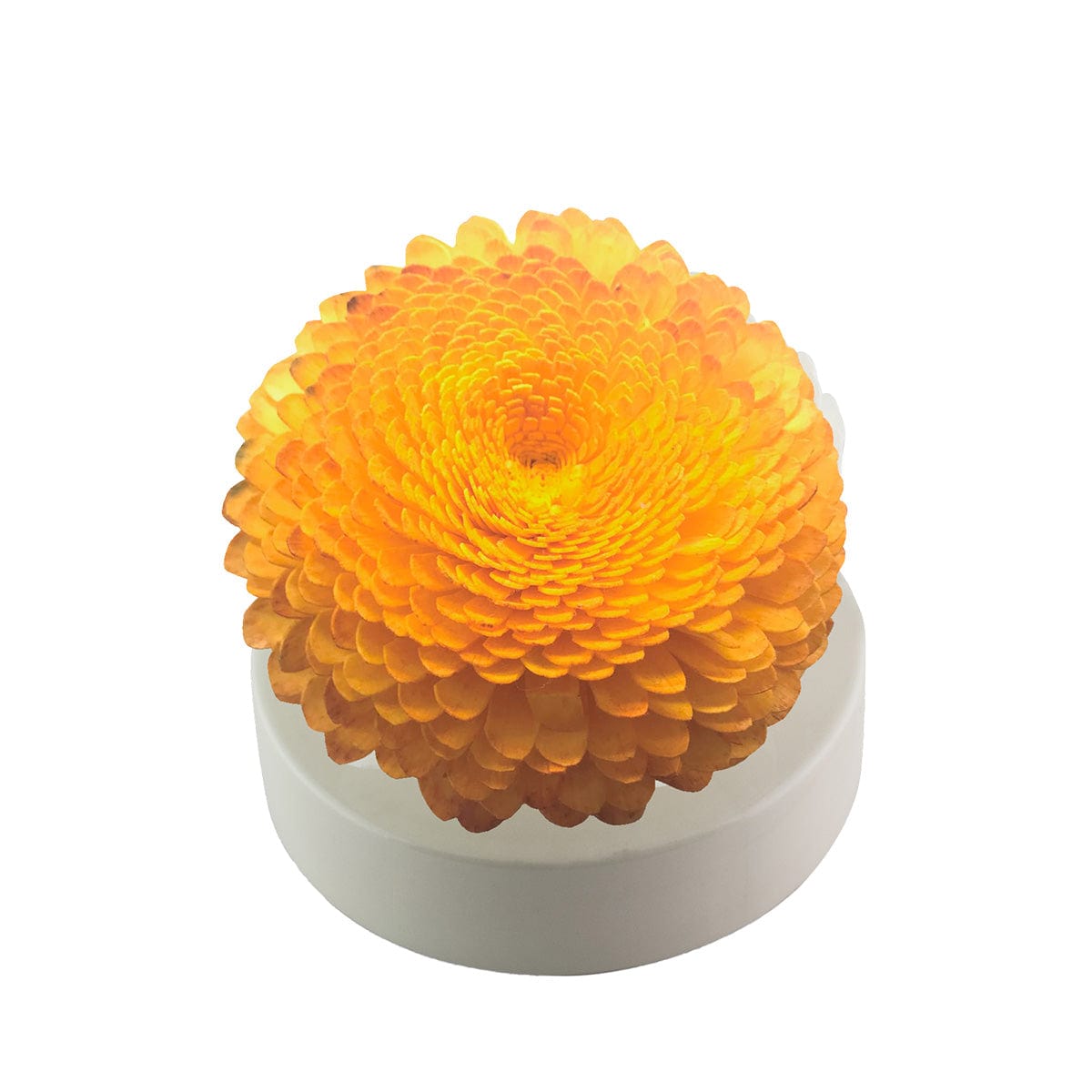 Hysses Home Scents Big Bloom Solar Diffuser, Bergamot Frankincense (Yellow)