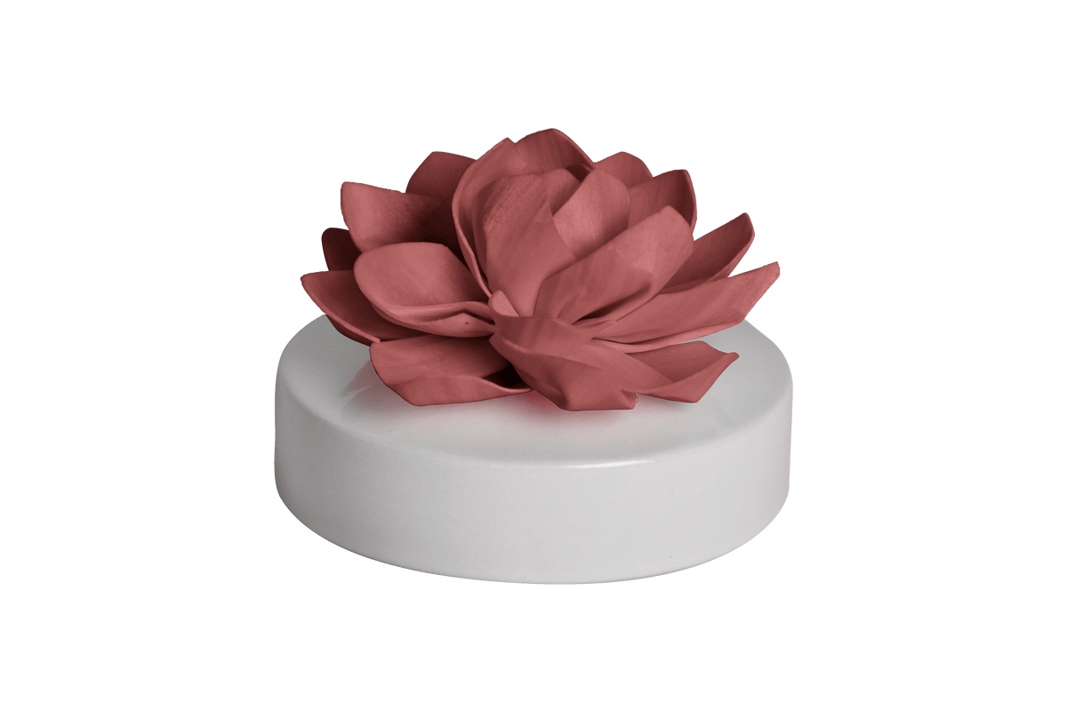 Hysses Home Scents Big Bloom Solar Diffuser, Palmarosa Jasmine (Maroon Pink)