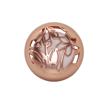 Hysses Home Scents Joyride Car Clay, Floret (Palmarosa Jasmine & Vanilla Sandalwood)