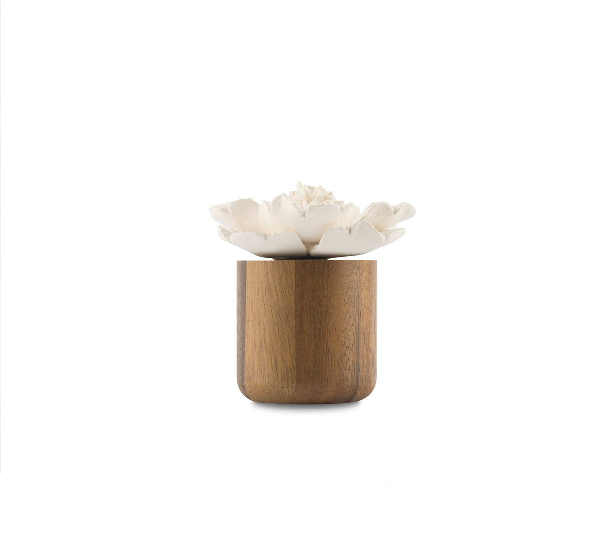 Anemone Flower Scenting Clay Diffuser (Tall Bouquet) - Hysses Singapore