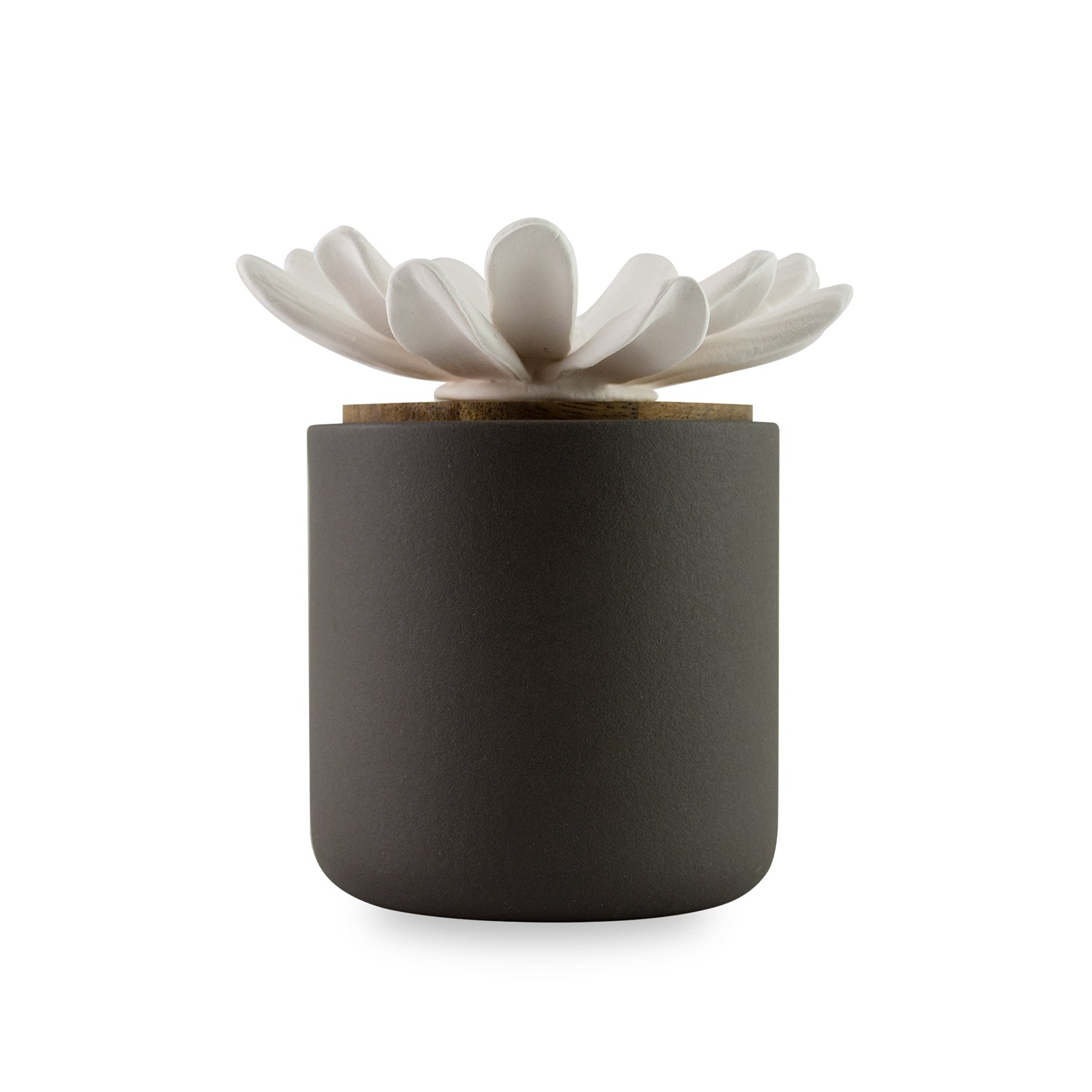 Bloomster Pot Clay Diffuser Daisy - Hysses Singapore