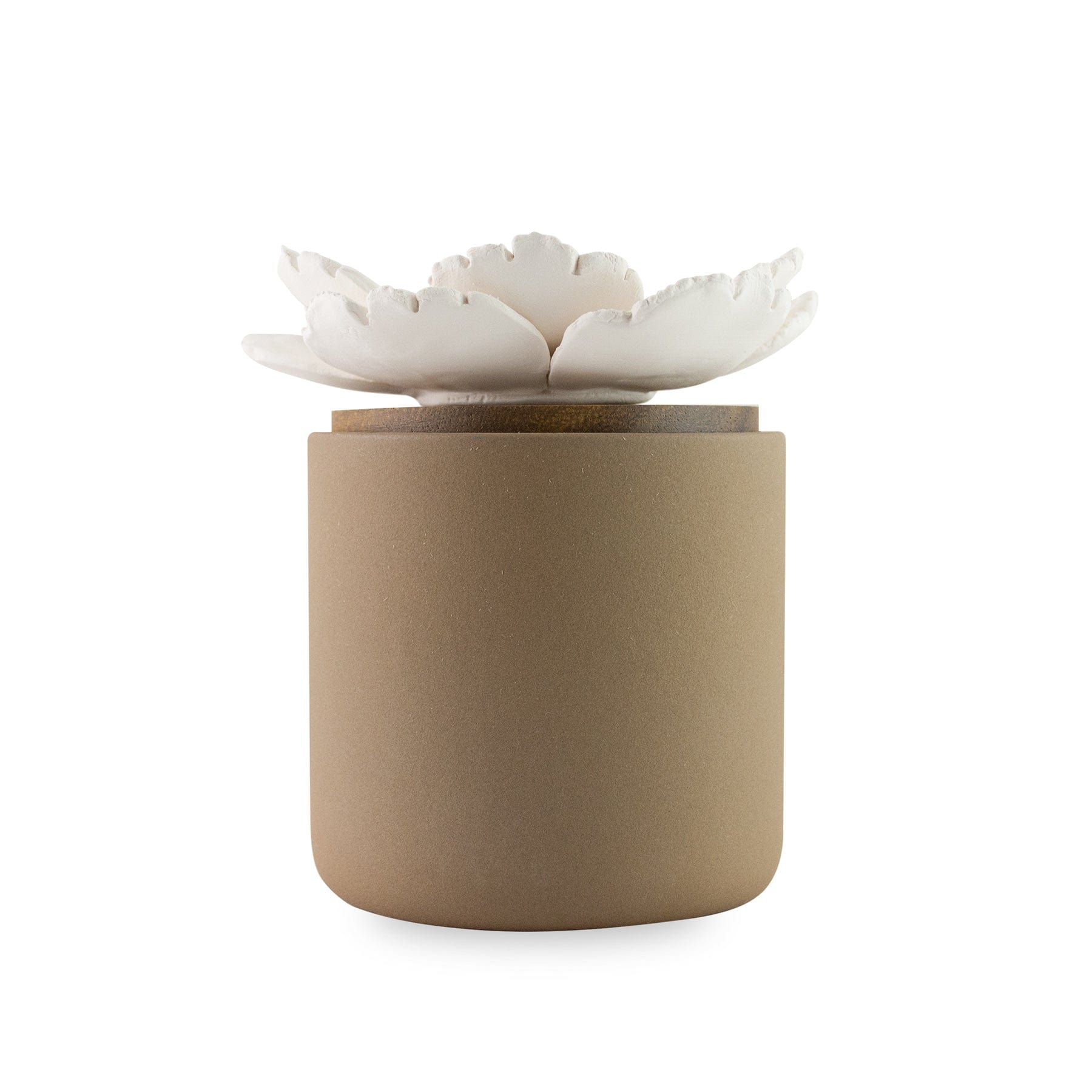 Bloomster Pot Clay Diffuser Mayapple - Hysses Singapore