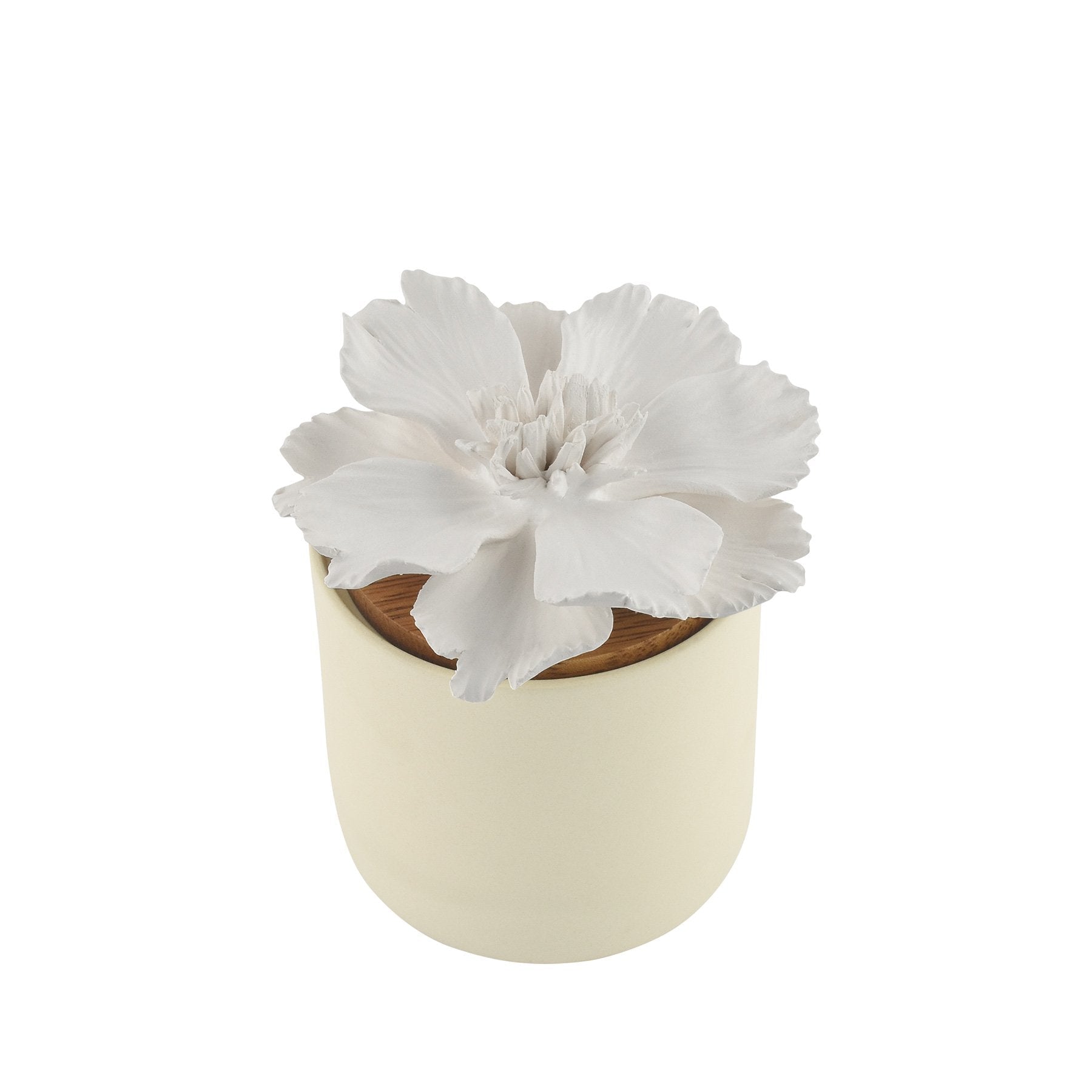 Bloomster Pot Clay Diffuser Peony - Hysses Singapore