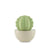 Photo of Cutie Clay Diffuser - Cactus
