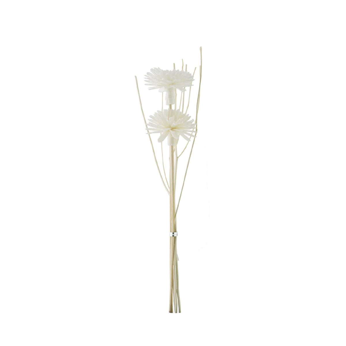 HYSSES Home Scents Solar Flower Diffuser Refill - Daisy Bouquet