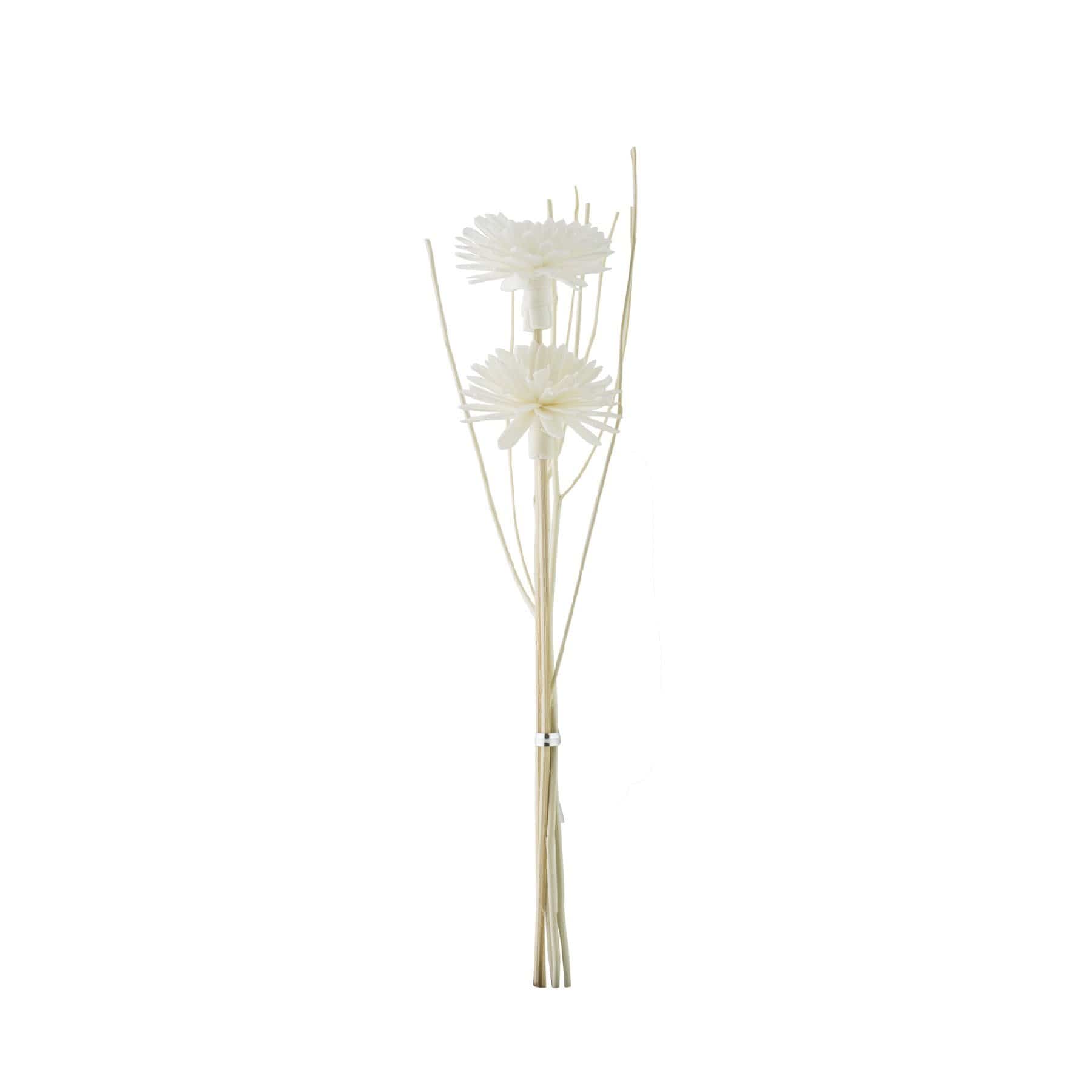 HYSSES Home Scents Solar Flower Diffuser Refill - Daisy Bouquet